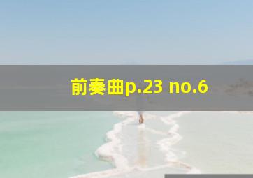 前奏曲p.23 no.6